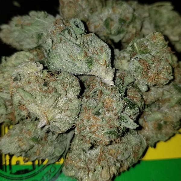Buy White Fire OG online Australia Buy Cannabis for Anxiety Asia Weed delivery in New Zealand Buy Sativa Weed Florida Buy Indica Weed Denmark Buy marijuana Ireland Buy Pots Online Europe