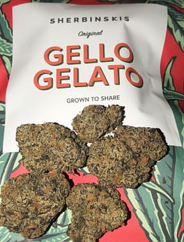 Buy Gello Gelato online Australia Order Gello Gelato weed Sweden Buy marijuana in New Zealand Where to buy cannabis online Ireland