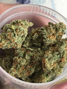 Where to buy Cali Tins weed online